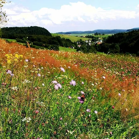 Alte Sattlerei Medebach